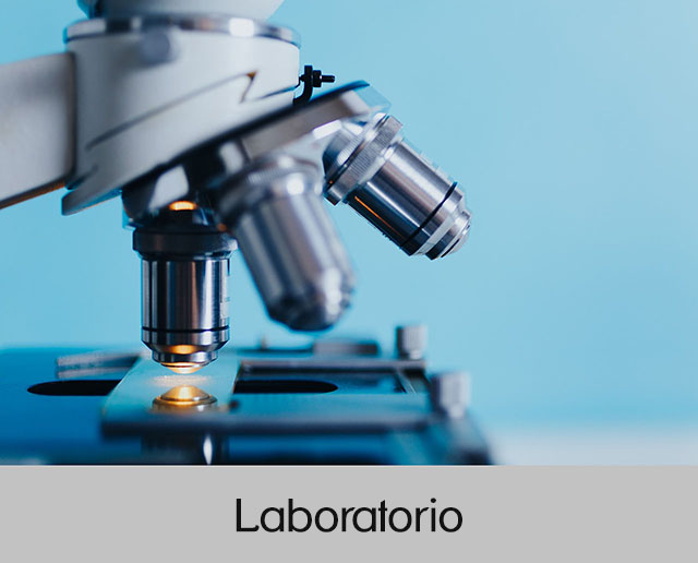 Ir a laboratorio