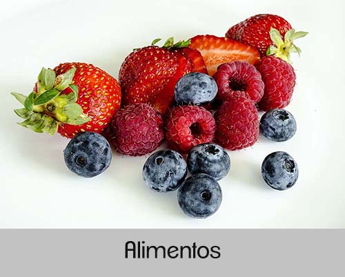 Ir a alimentos