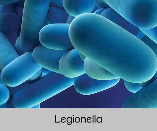 Ir a legionella